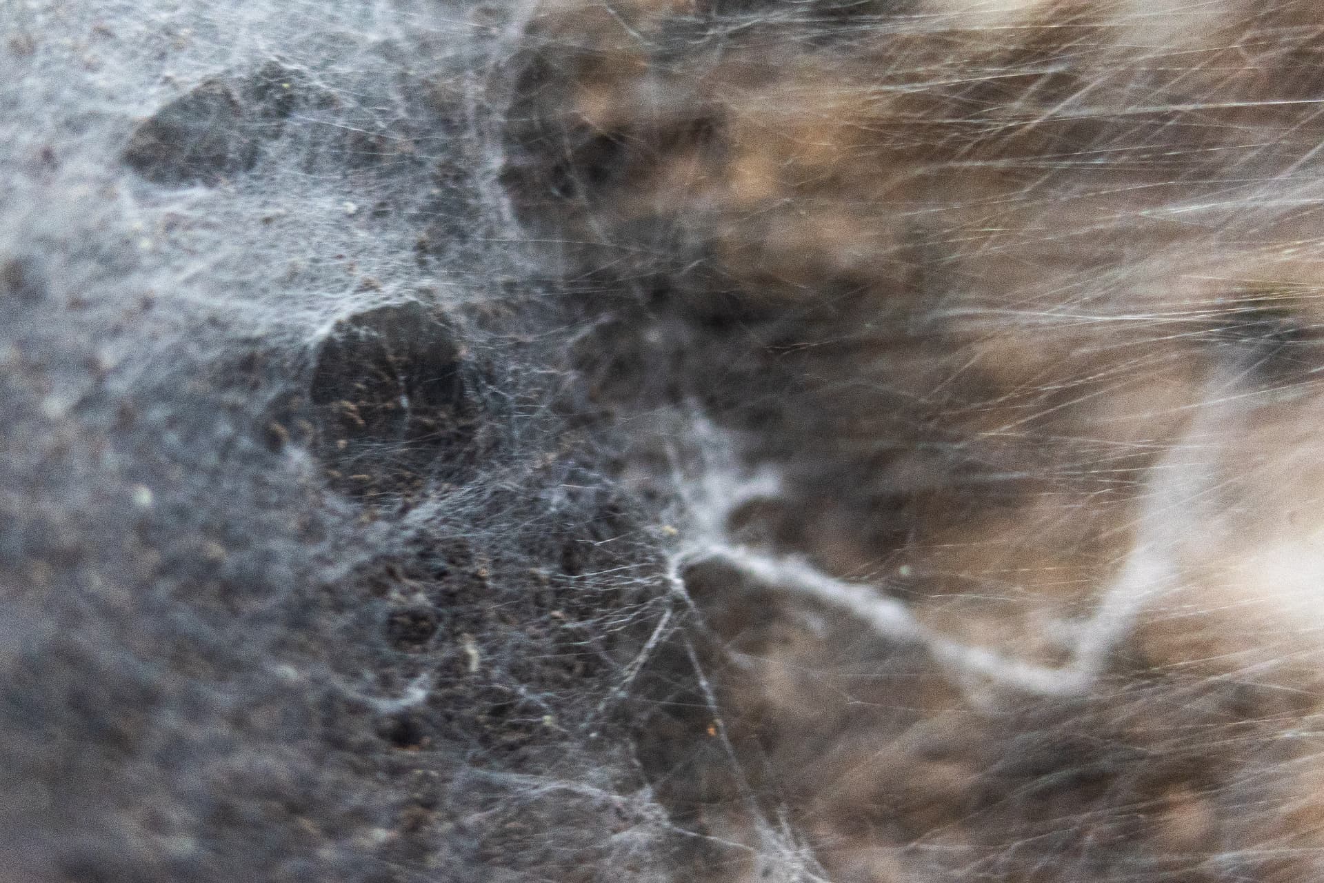 Textura 7