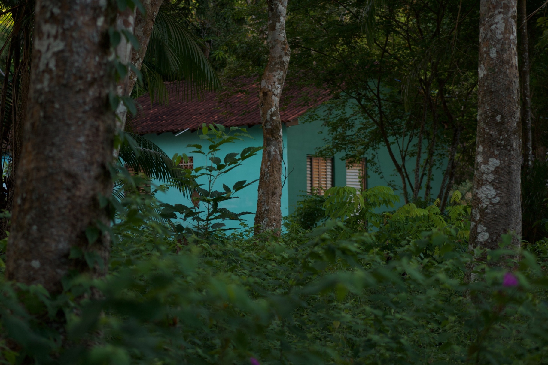 Guardiões 15
