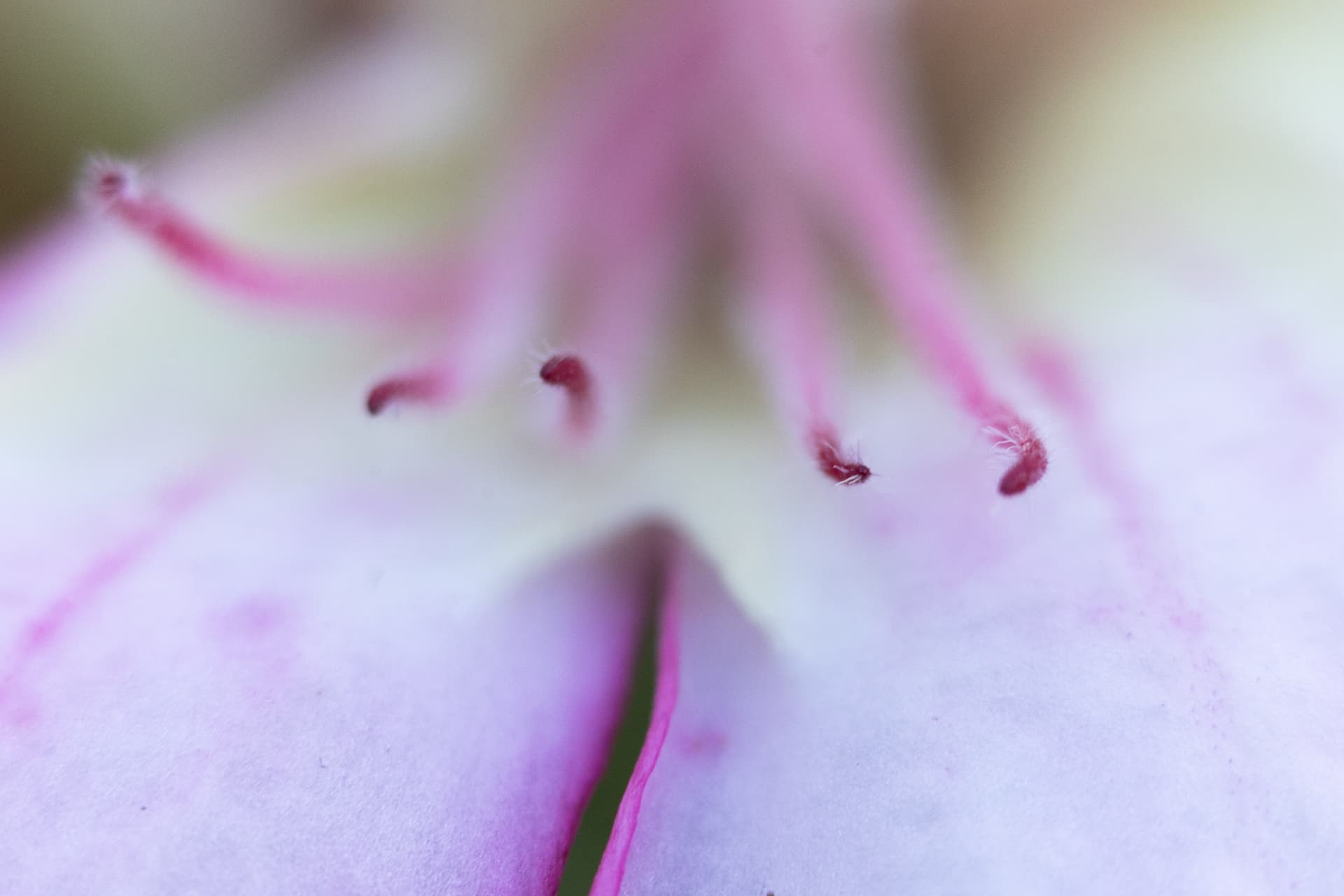 Textura 9