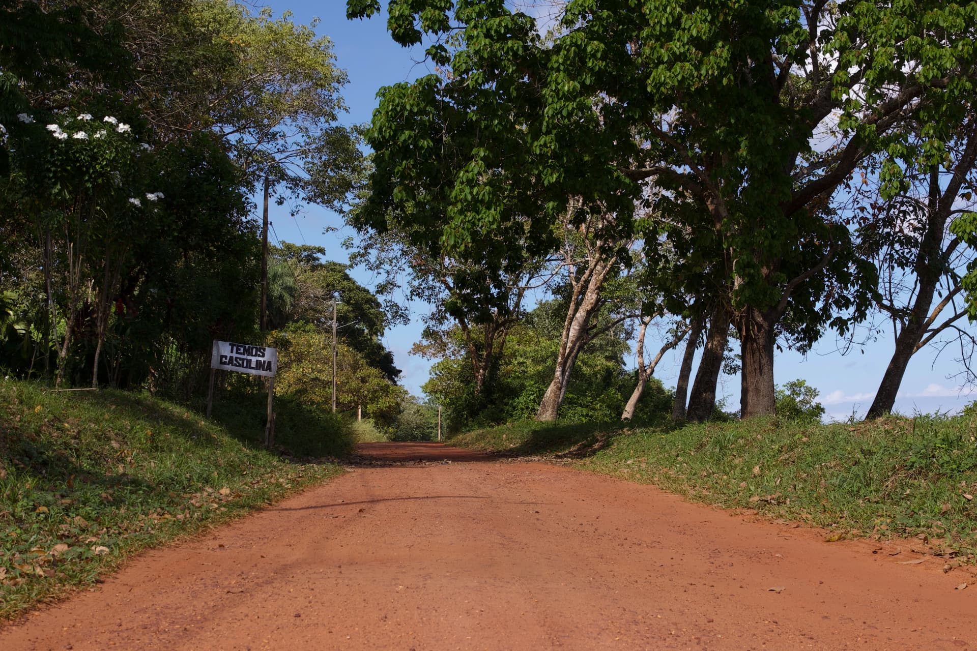 Guardiões 8