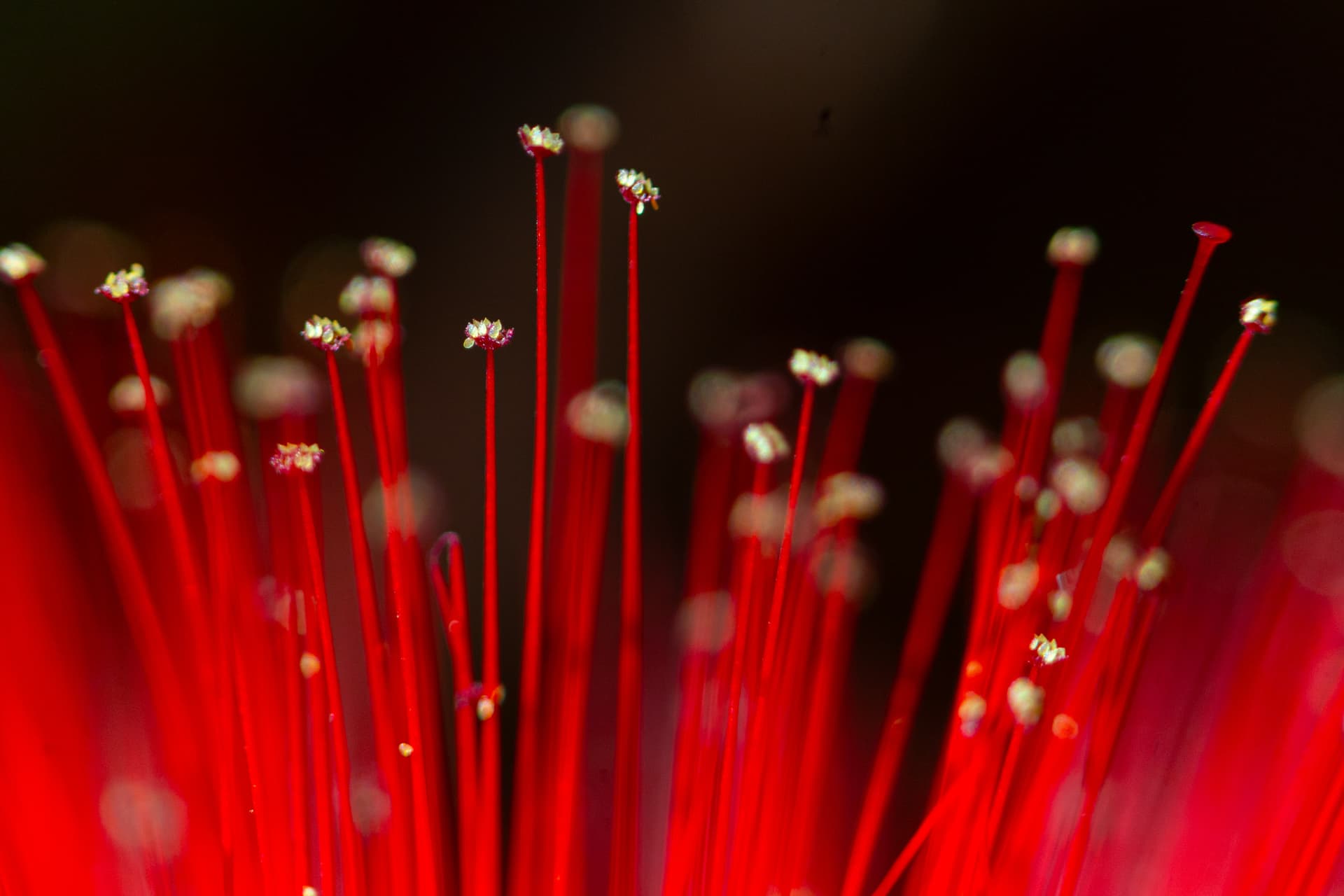 Textura 2
